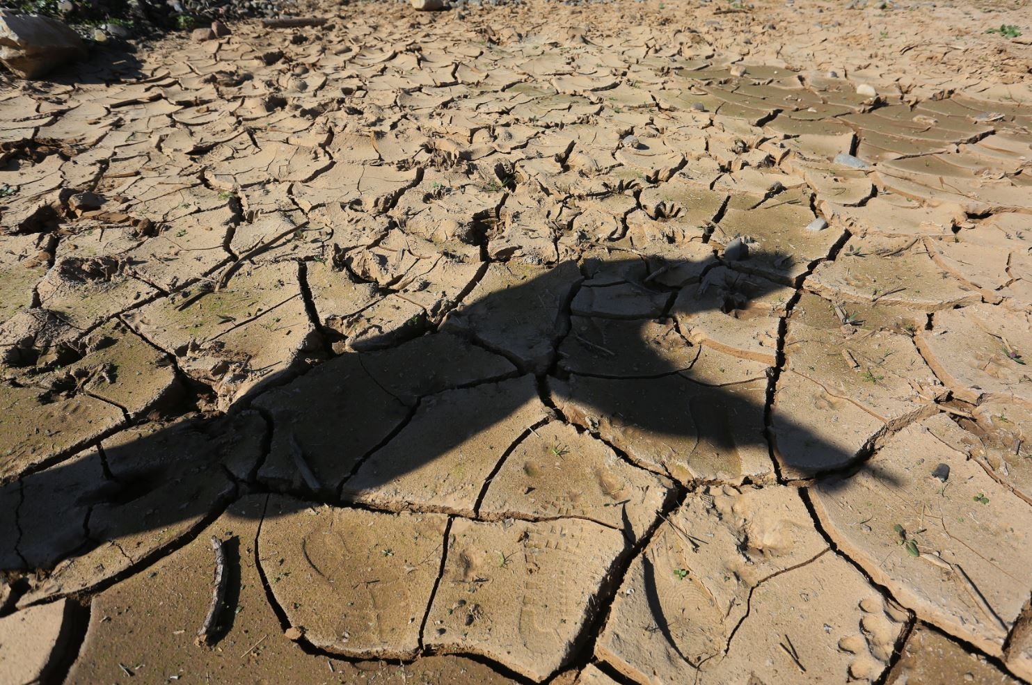 ONU: Falta de financiamento para que países pobres combatam a crise climática ameaça vidas