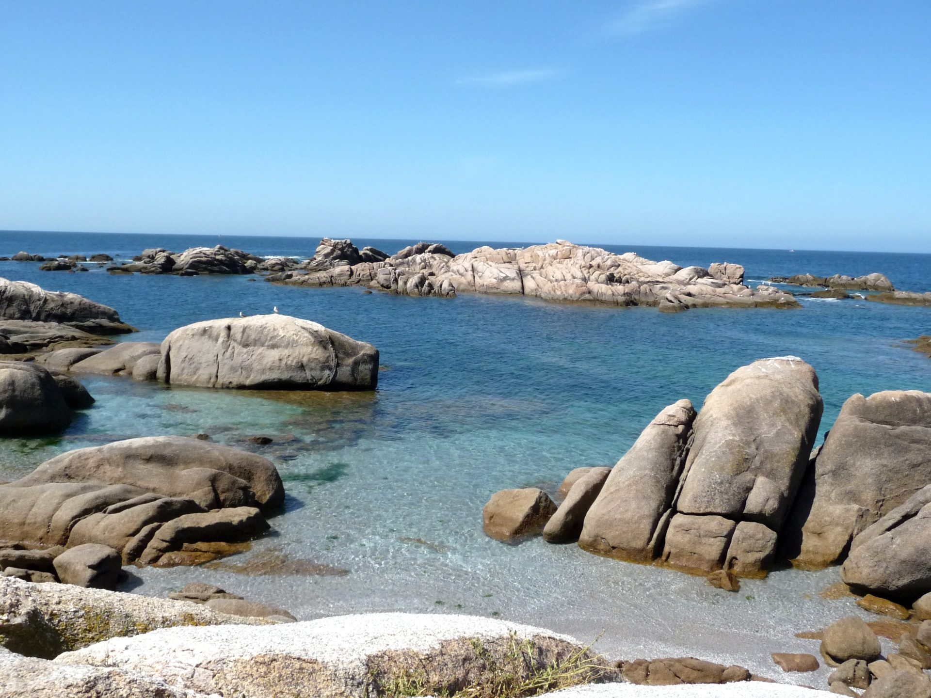 WWF: Ocean collapse could put €7.7 trillion of the global economy at risk over the next decade