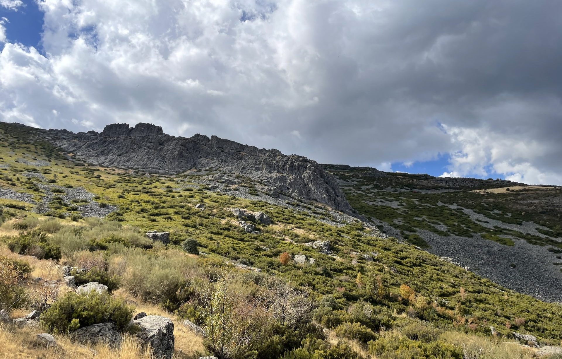 Paisaje vivo, el proyecto que convierte la Sierra Norte de Guadalajara en un laboratorio de resiliencia climática
