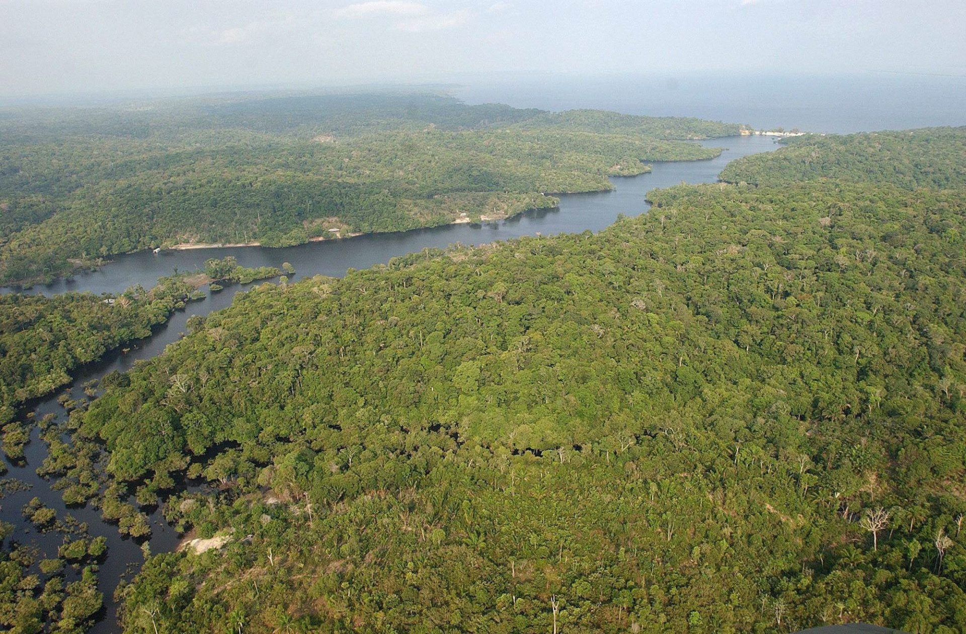 A Amazônia brasileira atingiu o limite climático do Acordo de Paris em 2024.