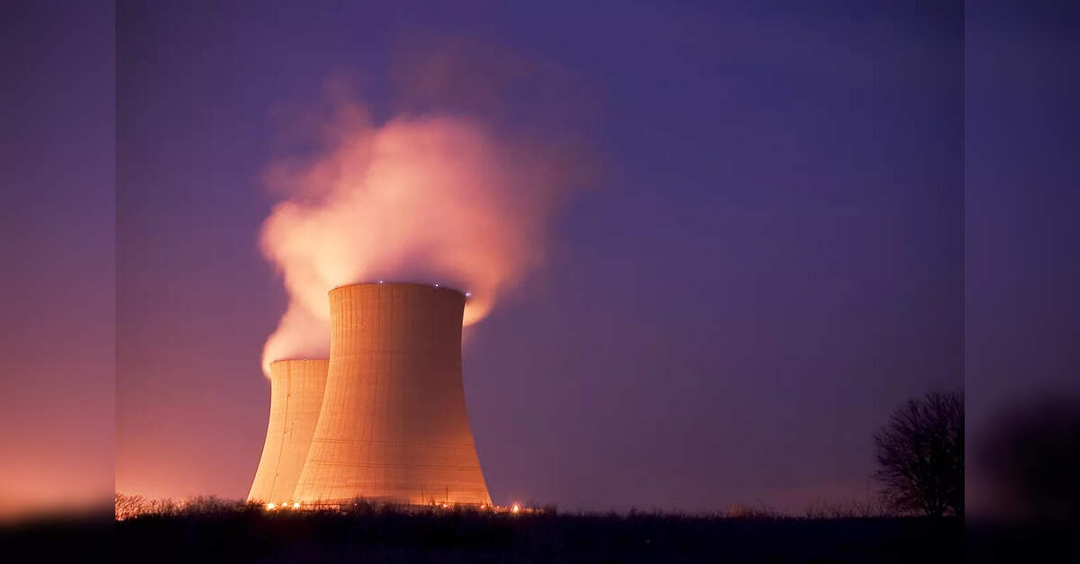 Rządowy komitet ds. energetyki jądrowej opowiada się za 49% bezpośrednich inwestycji zagranicznych