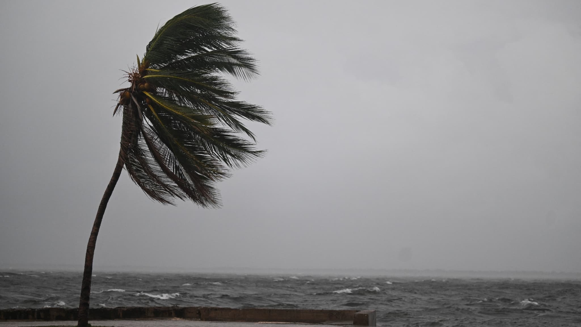 Historic figures from Hurricane Melissa: "We broke the world record for wind speed"