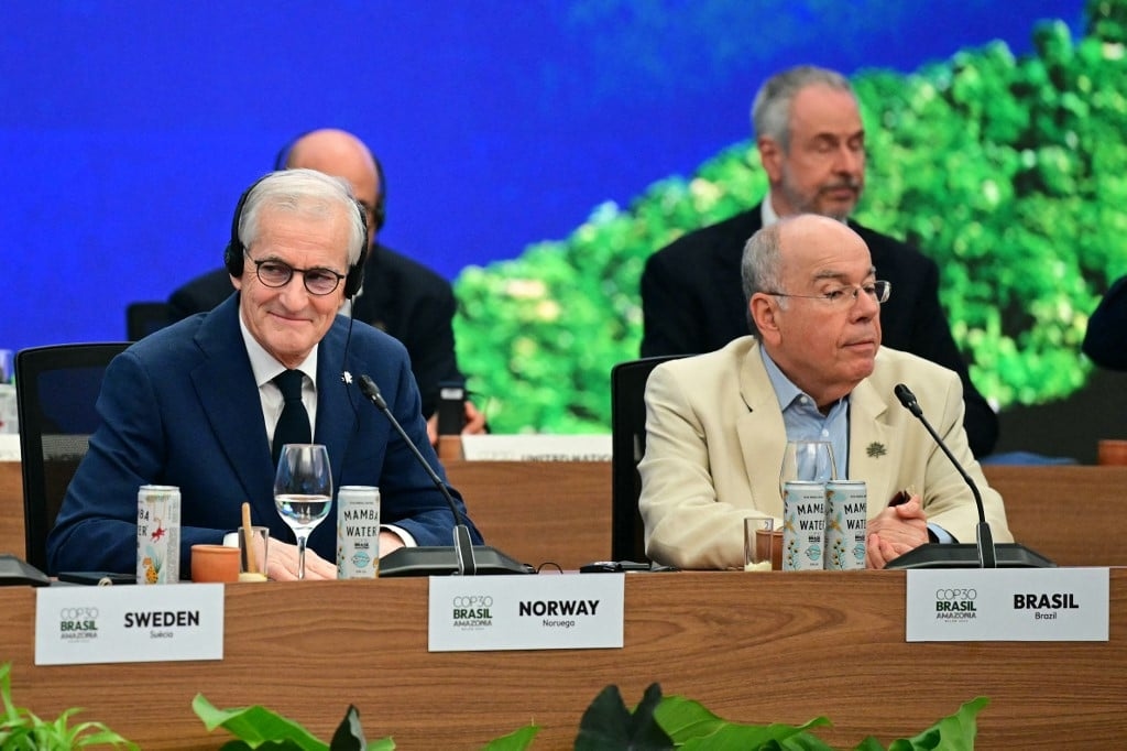 La Norvegia prevede di investire 3 miliardi di dollari in un fondo per la protezione delle foreste.