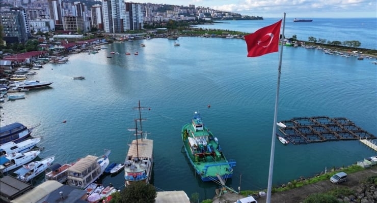 Les ports de trois villes ont été identifiés comme présentant un « risque écologique moyen à élevé ».