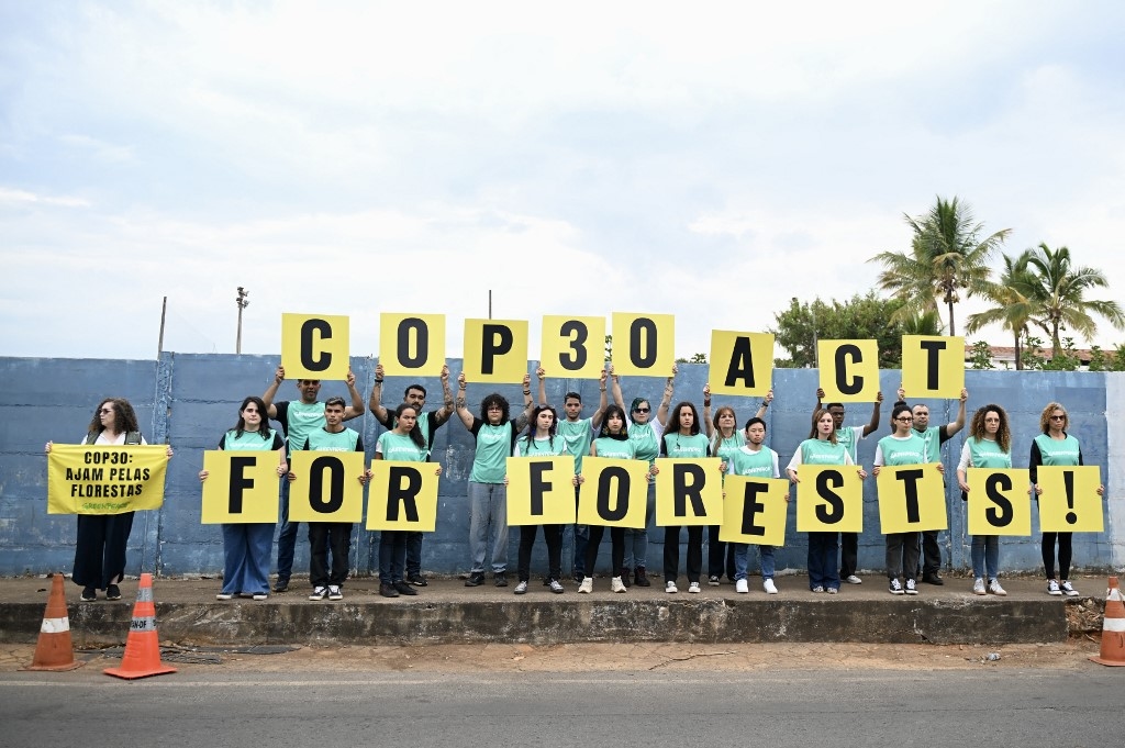 Ahead of COP30, Brazil announces a reduction in its CO2 emissions
