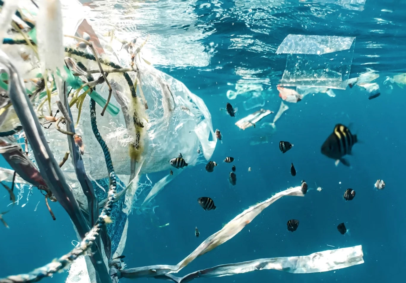 Türkei und Tunesien unternehmen einen neuen Schritt gegen die Plastikverschmutzung