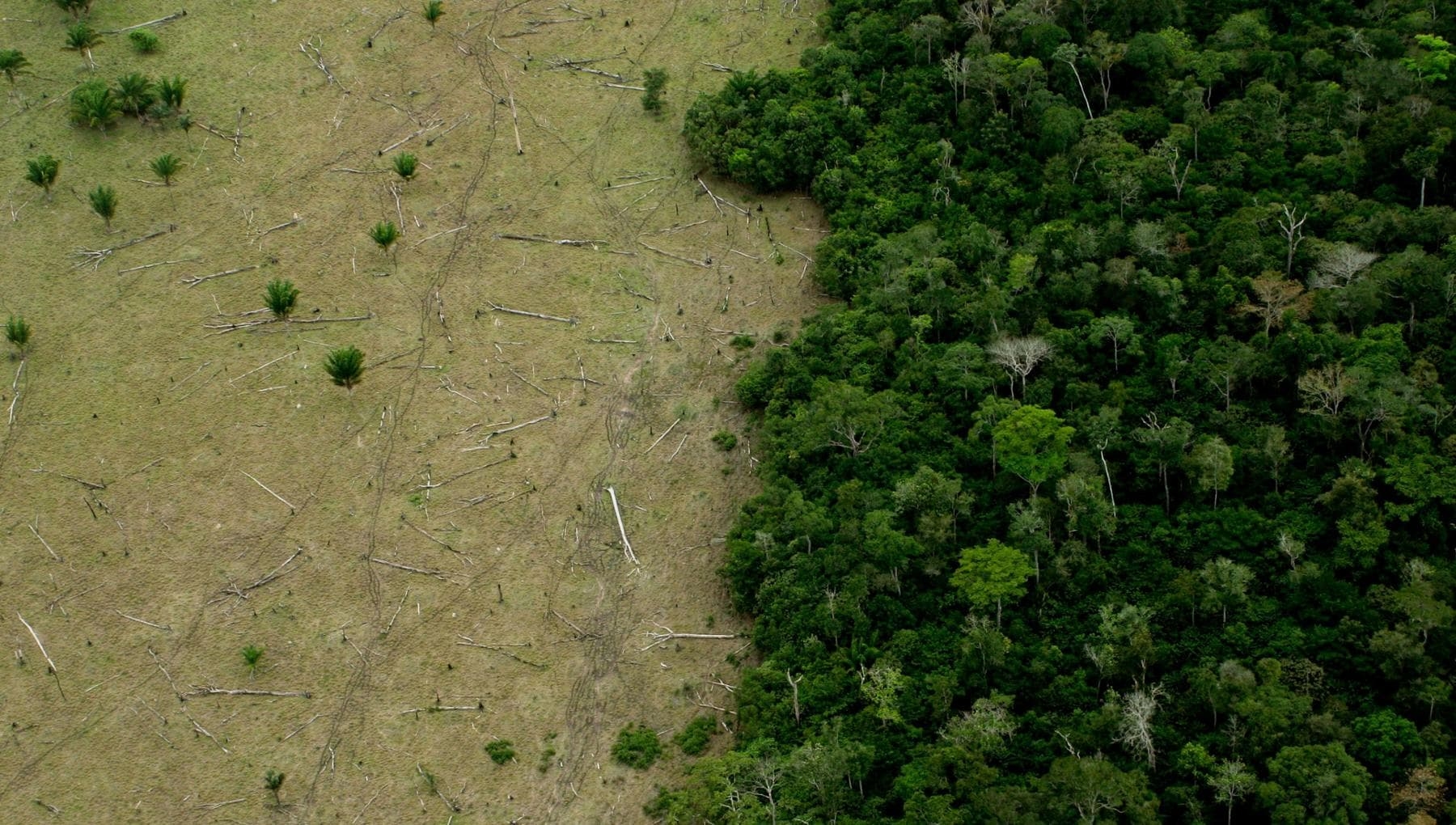 “We gebruiken algoritmen om de toestand van de aarde te monitoren”